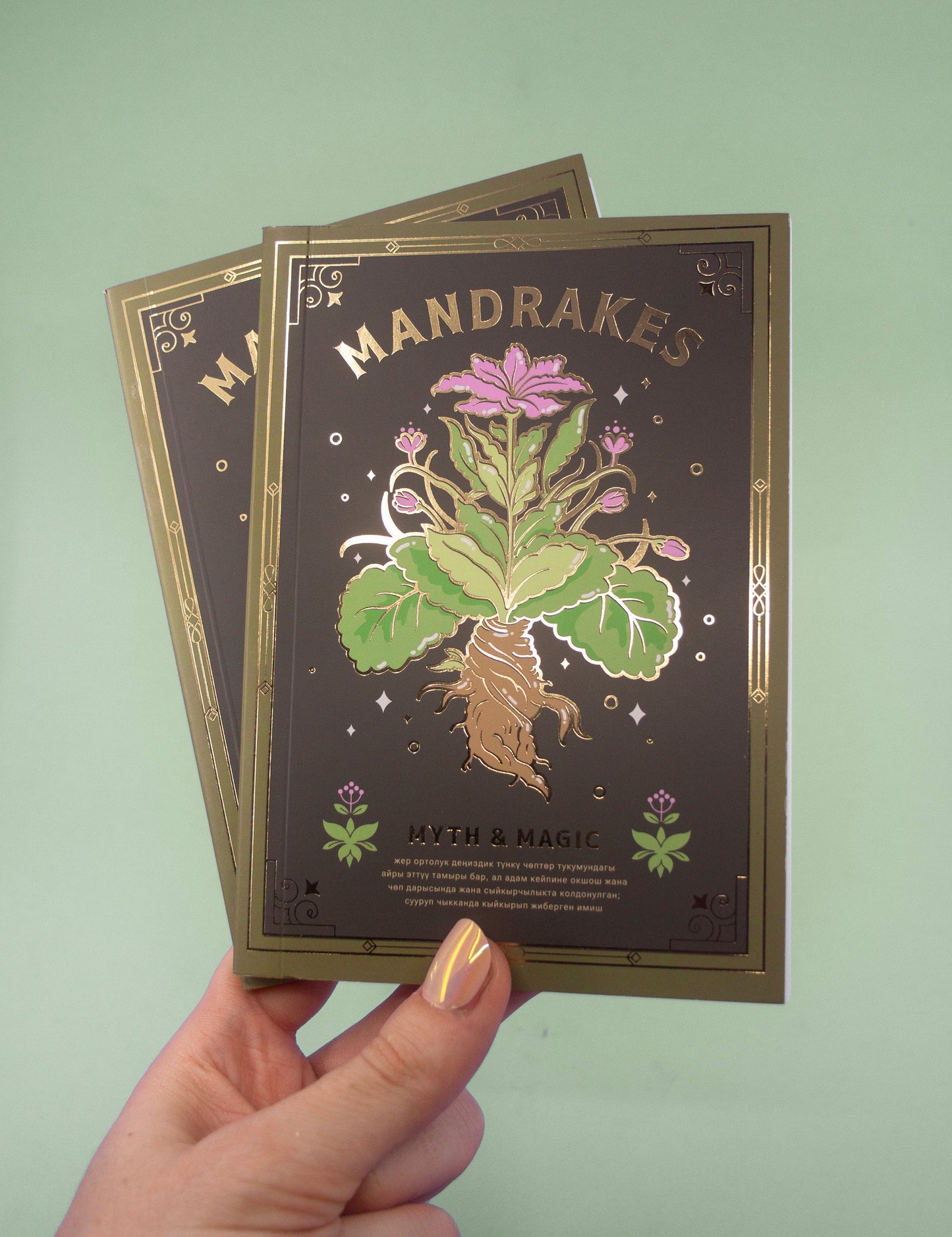 Mandrakes : Myth and Magic Blank Book